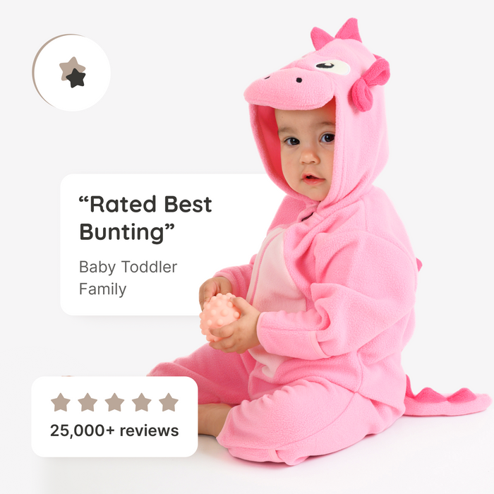 Pink Dinosaur Fleece Bunting