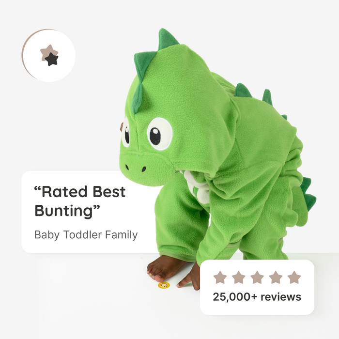 Green Dinosaur Fleece Bunting