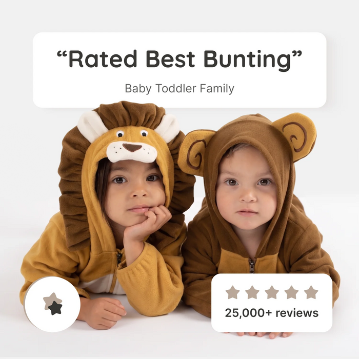 Lion & Monkey Bunting (2 Pack)